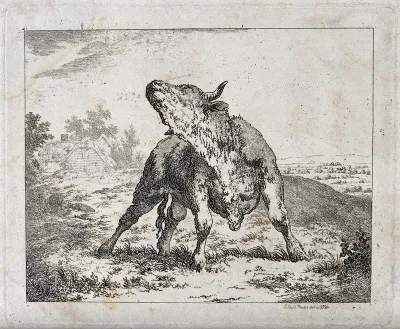 A bull standing in an enclosure craning its neck