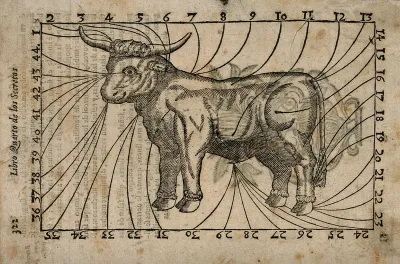 A bull, with parts of the body indicated and numbered: the numbers forming a border around the image