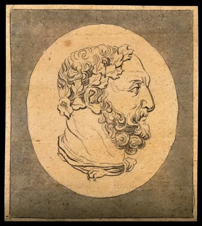 A bust of Hercules: profile