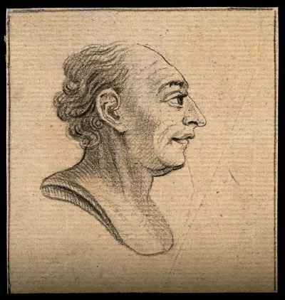 A bust showing a phlegmatic-sanguine temperament