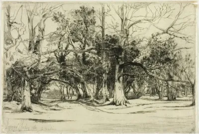 A By-Road in Tipperary