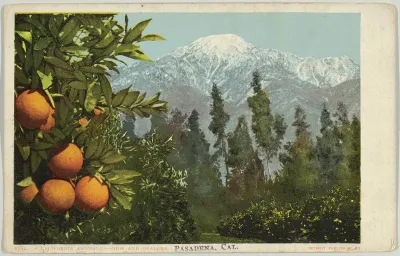 A California Anomaly, Snow and Oranges, Pasadena, California, No. 7782