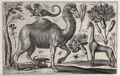 A camel surrounded by various named animals, flowers and insects, including a giraffe and flying dragon
