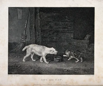 A cat hissing at a barking dog over a bowl of milk in a barn