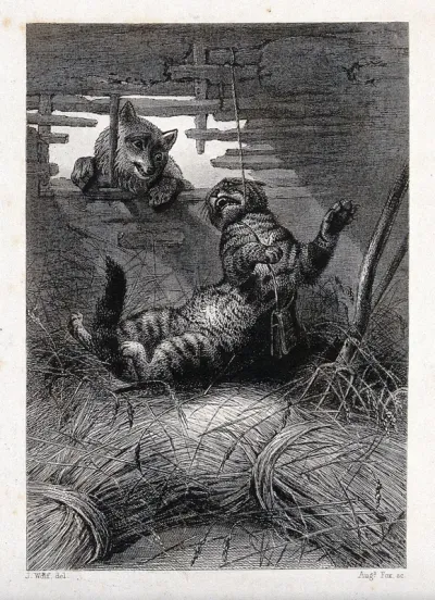 A cat is caught and strangulated by a rope in a haybarn with a fox looking on