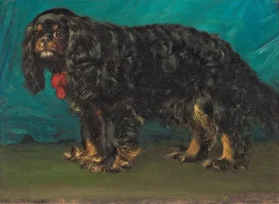 A “Cavalier King Charles” spaniel.