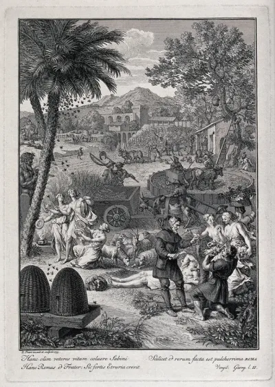 A celebration party given in honour of a good harvest
