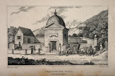 A chalybeate well, Tijuca, Brazil