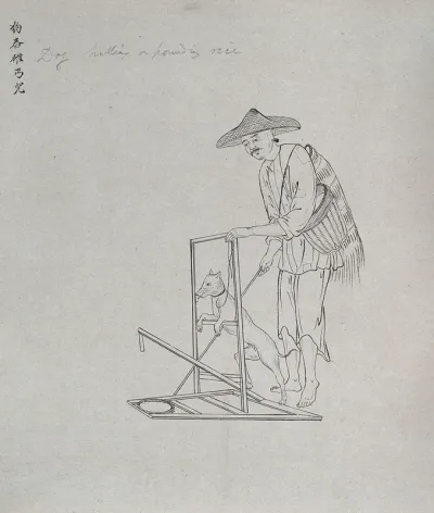 A Chinese dog trainer