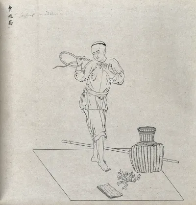 A Chinese seller of a snake antidote