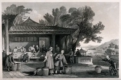 A Chinese tea plantation with workers carrying and firing the tea
