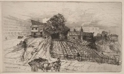 A City Farm—New York