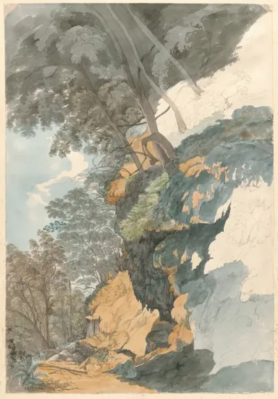 A Cliff Overhung with Trees