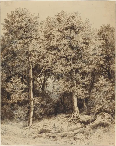 A Copse of Trees