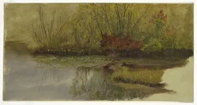 A Corner of a Pond