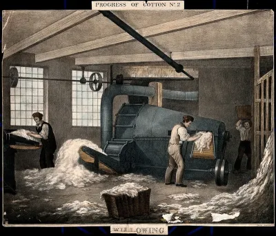 A cotton factory in which a man is feeding raw cotton into a willowing machine