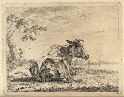 A cow at rest lying in a field