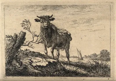 A cow bellowing in a field by a lake