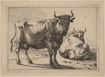 A Cow Standing and Another Lying Down