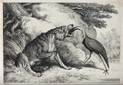 A crane standing with its beak down a wolf's throat