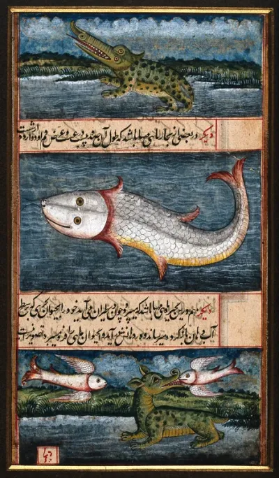 A crocodile, a gigantic fish and an animal that eats flying fish