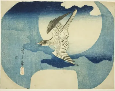 A Cuckoo Against the Moon