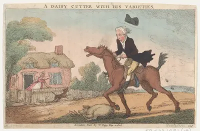 A Daisy Cutter with His Varieties