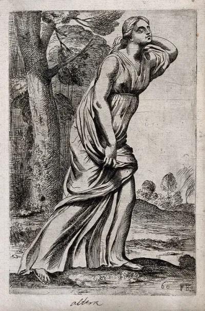 A daughter of Niobe