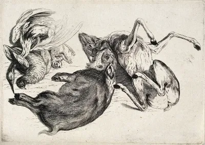 A dead boar, deer, pheasants and other animals