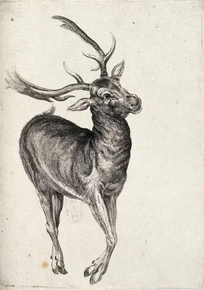 A (dead?) deer. Etching attributed to James Ward, ca. 1794