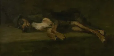 A dead dog
