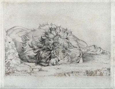 A dead or sleeping lion