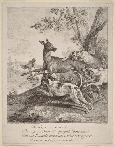 A Deer Attacked by Dogs