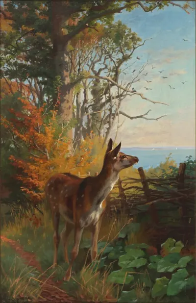 A deer in the forest