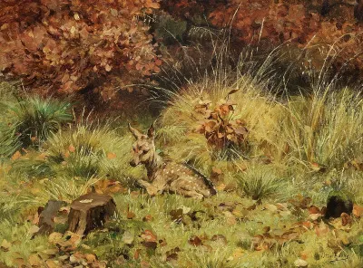 A deer lying in a forest.