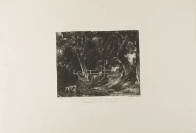 A Dell, Helmingham Park, Suffolk