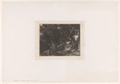 A Dell, Helmingham Park