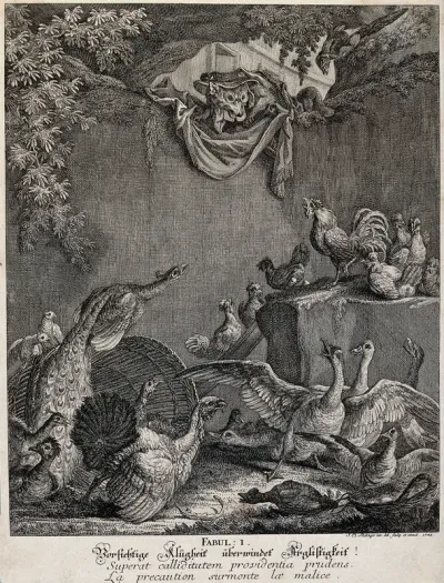 A disguised fox is peering through a vault into a yard, trying to beguile the birds in the enclosure