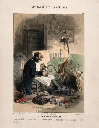 A doctor administers an enema to a dog; other bandaged animals sit nearby