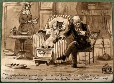 A doctor diagnosing a cat with mumps and prescribing a remedy
