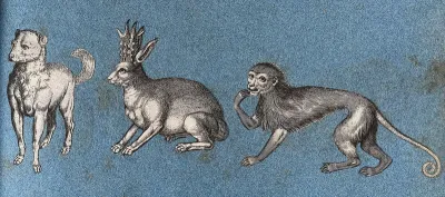 A dog, a hare-like animal and a monkey