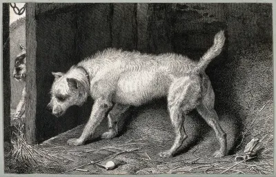 A dog (Brutus) hiding behind a door in a barn while another dog sits outside the door