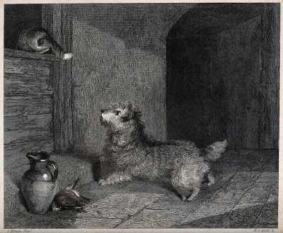 A dog chasing a cat through a window