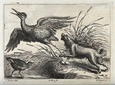 A dog chasing a heron off its nest in the reeds