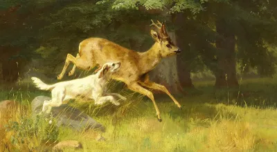 A dog chasing a roebuck.