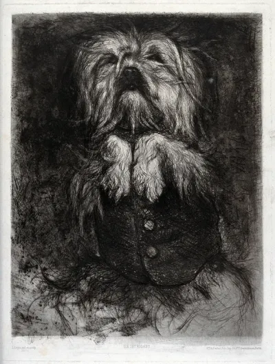 A dog in a buttoned waistcoat standing on its hind legs raising its paws