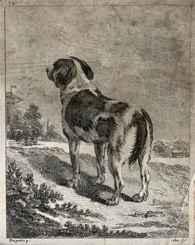 A dog seen from behind looking at a village in the distance