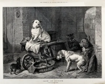 A dog sits on a grinder's cart, surrounded by a group of dogs looking up in reverence