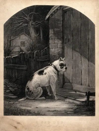 A dog sitting outside a locked door