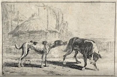 A dog sniffing another dog's backside